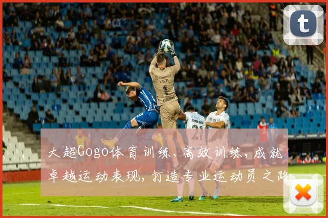 大超Gogo体育训练,高效训练,成就卓越运动表现,打造专业运动员之路