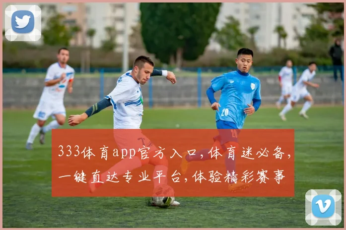 333体育app官方入口,体育迷必备,一键直达专业平台,体验精彩赛事